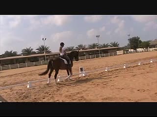 Video Player